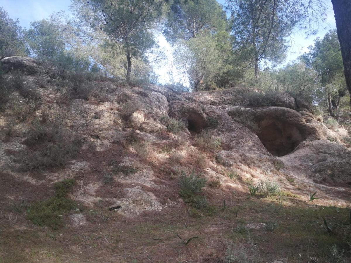 Alojamiento Rural El Paraiso Del Chorro Esterno foto