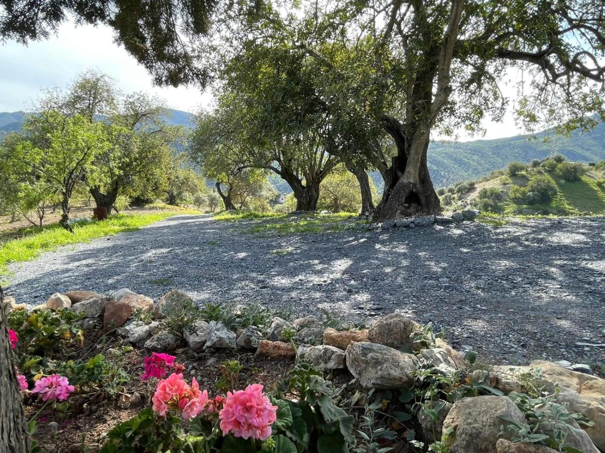 Alojamiento Rural El Paraiso Del Chorro Esterno foto